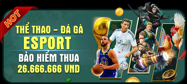 Bảo hiểm thể thao - Esport