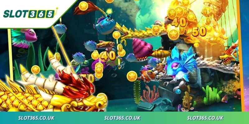 Khám phá hành trình dưới đáy biển nhiều màu sắc huyền bí